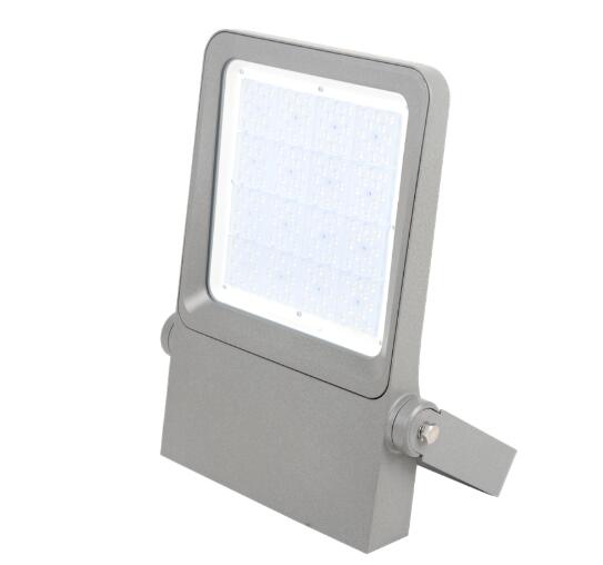 MSFL-1901 outdoor led flood light with Lens